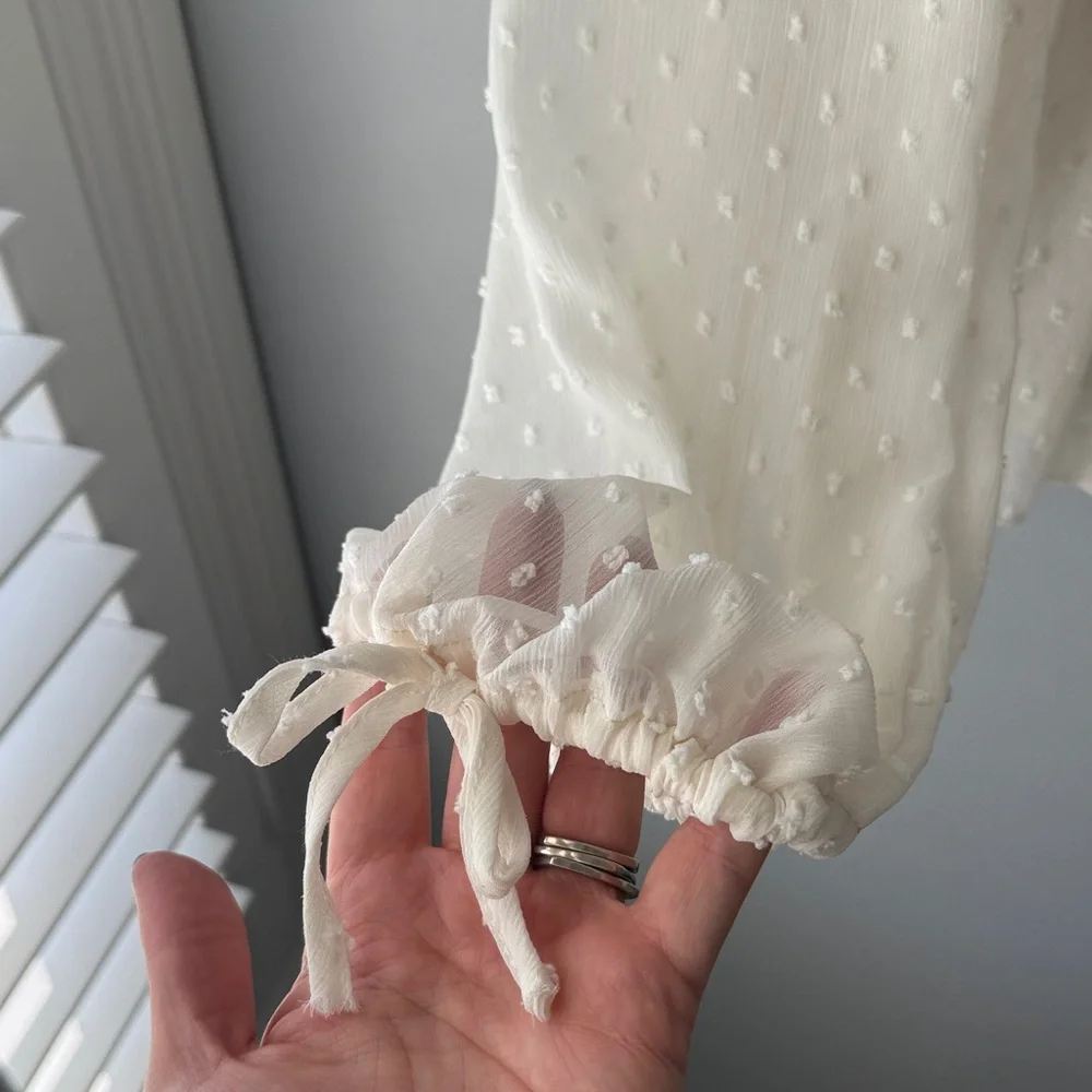 Zara Swiss Dot Sheer Button Down Blouse - Picture 8 of 11